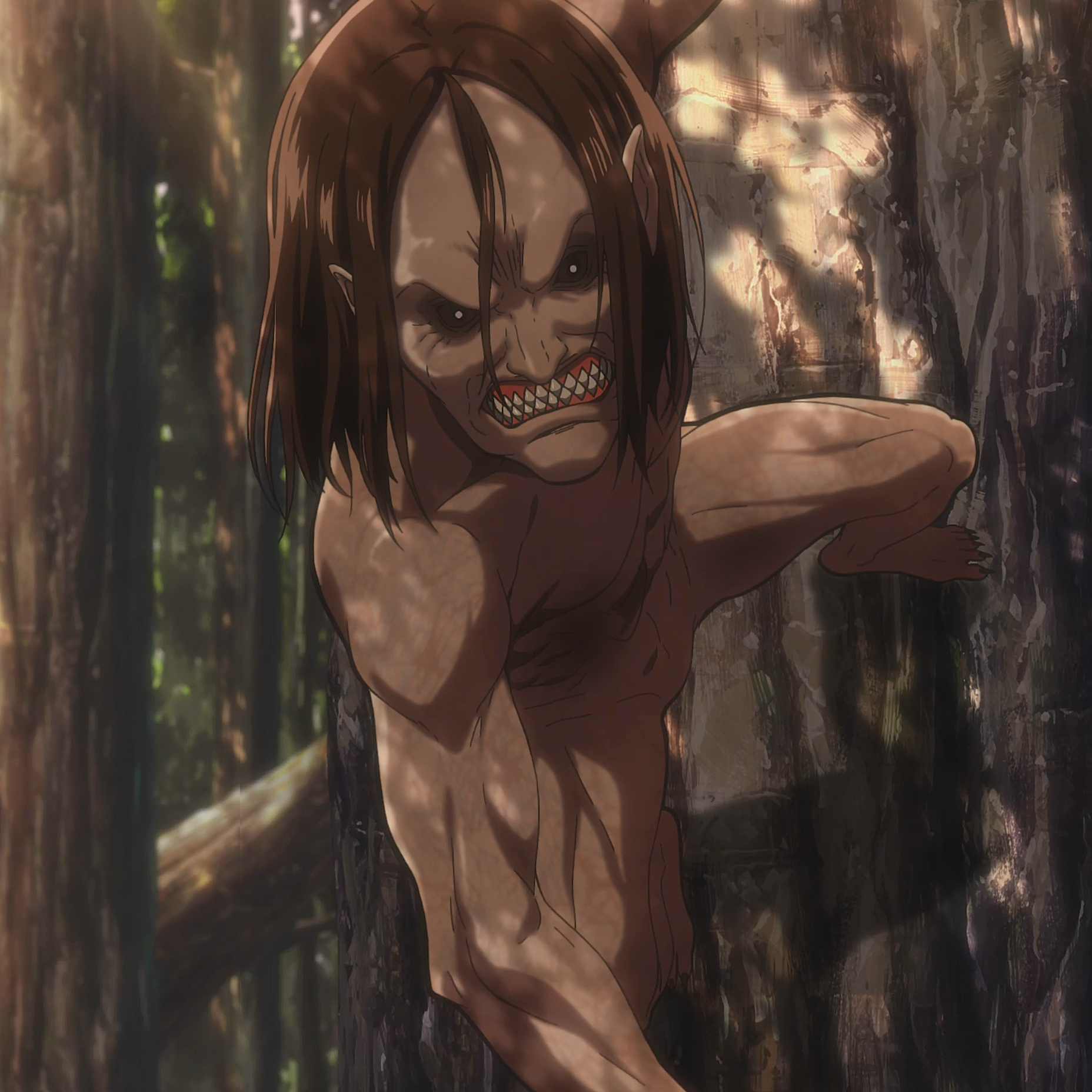 Jaw_Titan__Anime__character_image__Ymir_.png